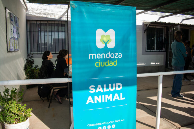 Septiembre llega con un renovado esquema de atención veterinaria gratuita en la capital