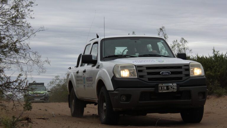 Intensos operativos en el Sur mendocino para proteger la fauna silvestre