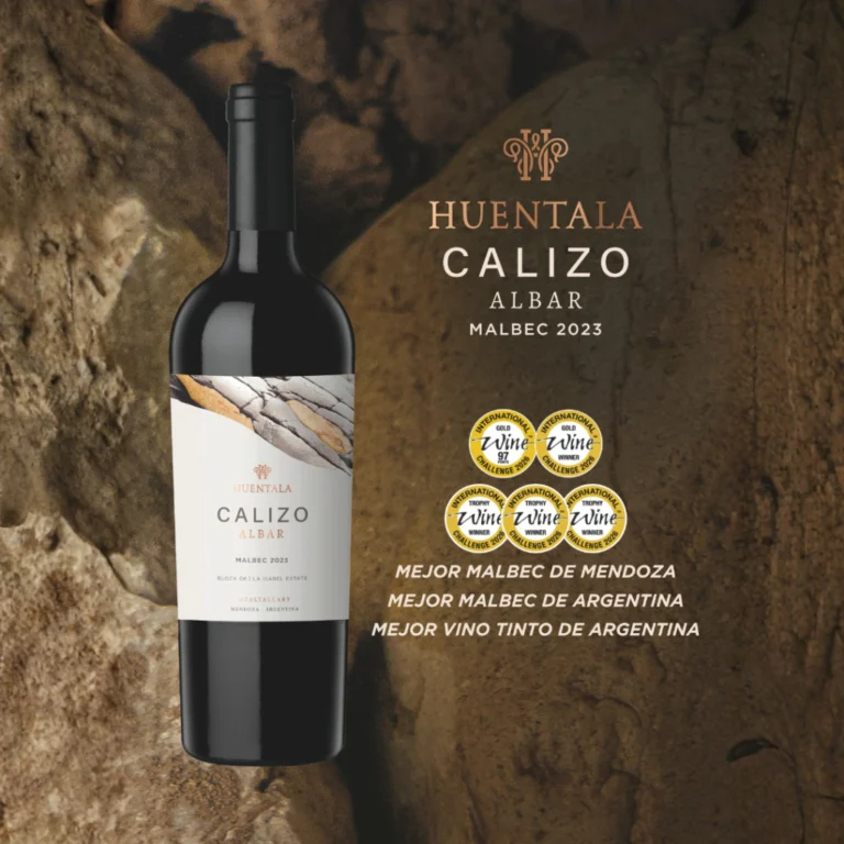 Un Malbec mendocino fue elegido el mejor vino tinto del mundo y sigue poniendo a Mendoza en lo más alto de la vitivinicultura internacional