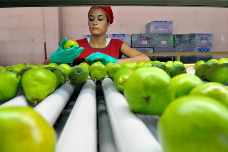Mendoza será sede de una capacitación sobre producción orgánica para fortalecer la cadena frutihortícola